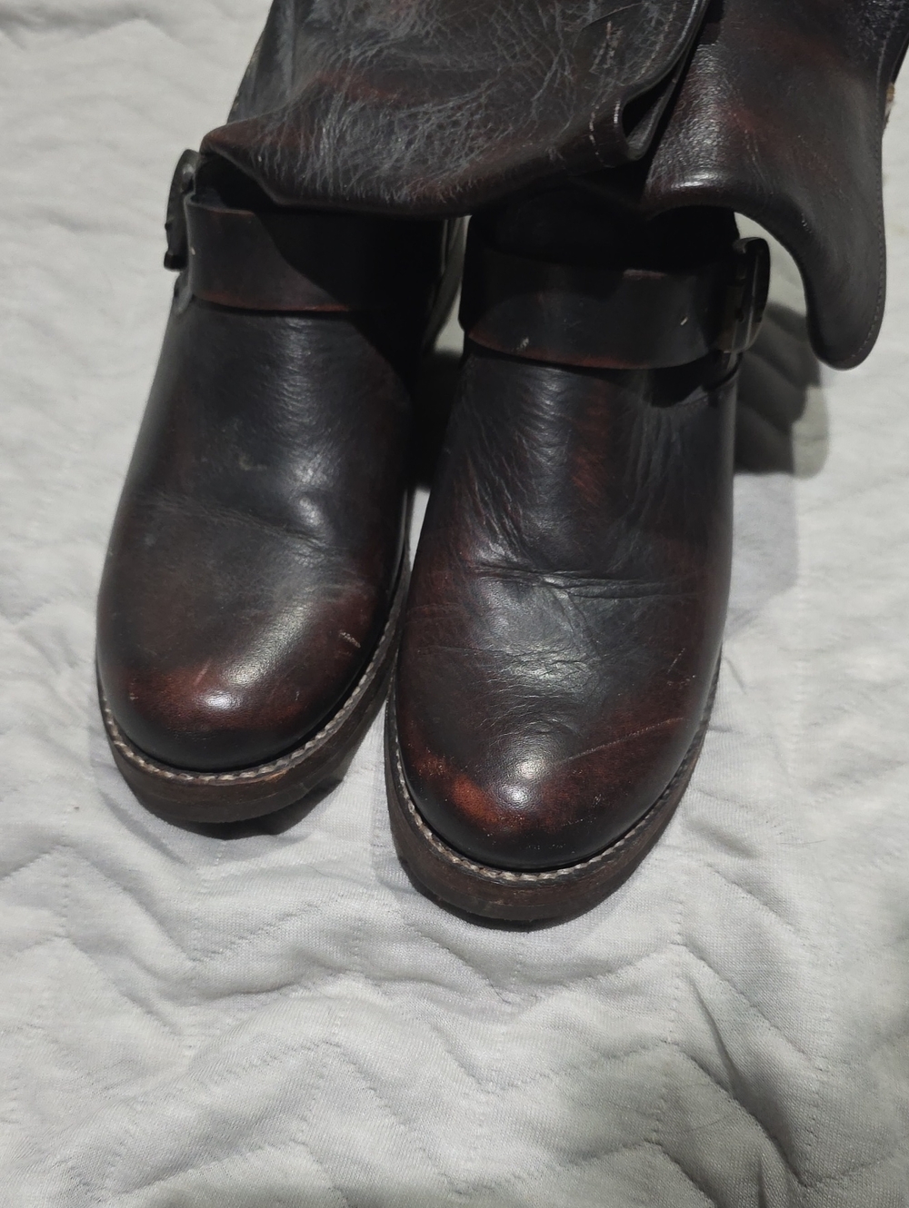 Frye Women's Dark Brown Leather Moto Buckle Boots